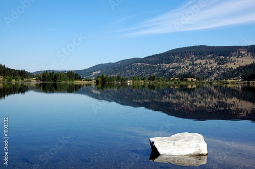 relections