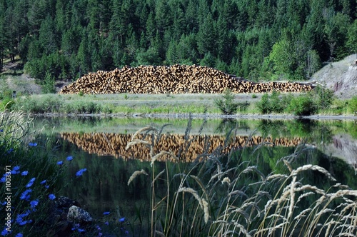 log deck