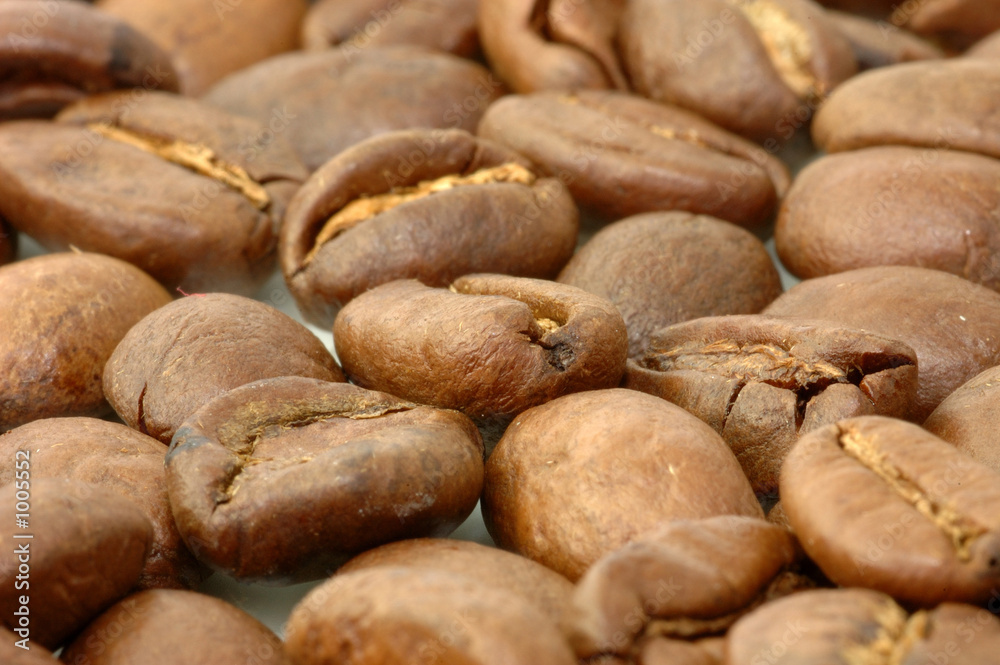 kaffeebohnen kaffeebohnen