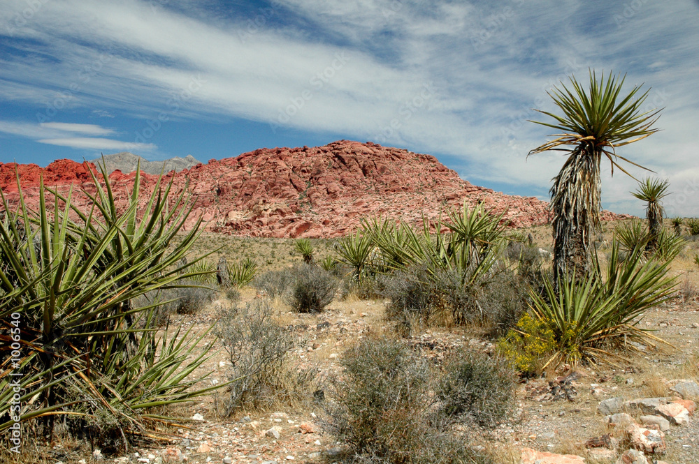 red rock desert scenes 19