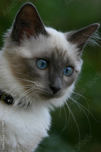 regard bleu