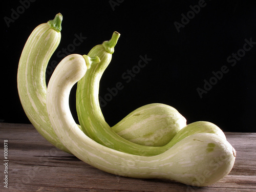 trumpet zucchini, standing up