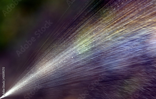 spray