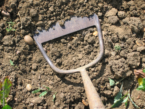 dutch hoe