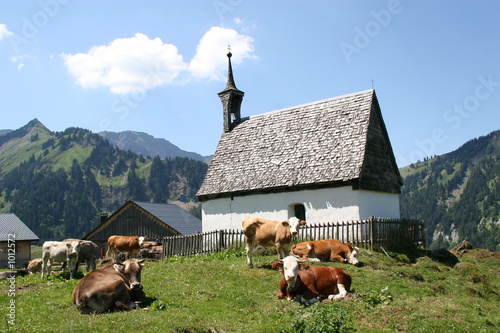 kleine kapelle im hochgebirgstal photo