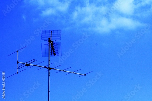 antenne rateau dans le ciel © brunoJ