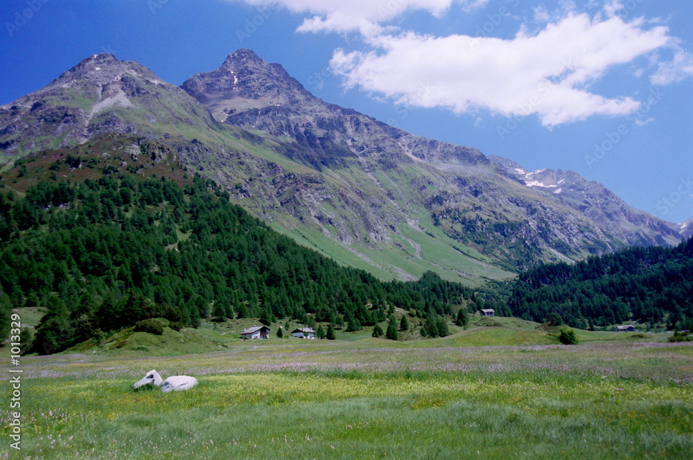 alps-3