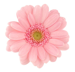 Handdoek met foto Gerbera Roze gerbera in zachte tinten  © Oleg Ivanov