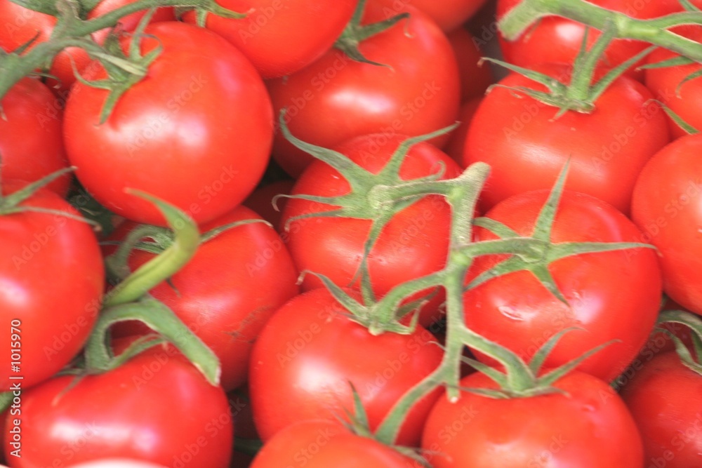les tomates les tomates