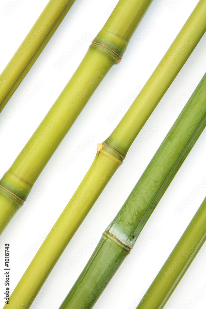 bamboo diagonal bamboo diagonal