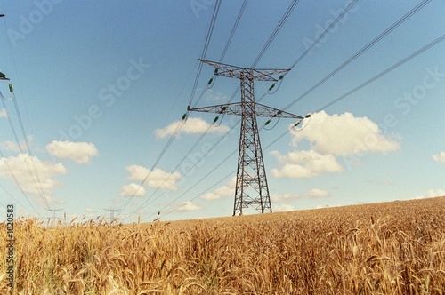 un blé bien électrique