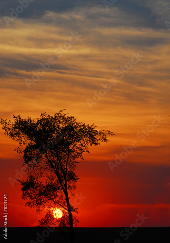 from dusk till dawn