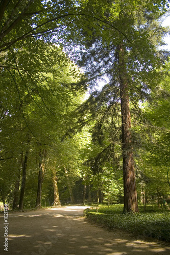 park1 photo
