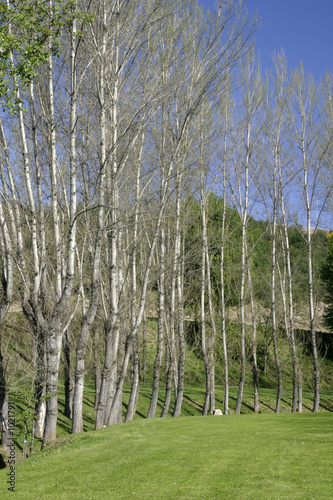 park4 photo