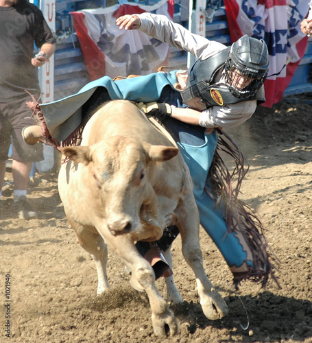 teenager riding a bull calf photo