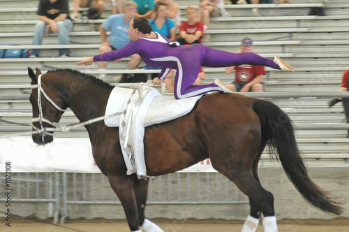 horse vaulter performing