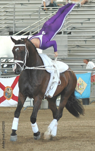 horse vaulter performing