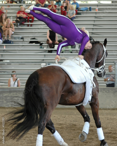 horse vaulter performing