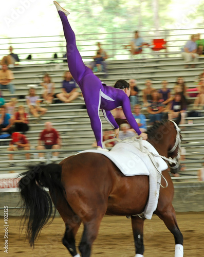 horse vaulter performing
