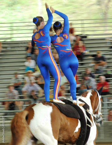 horse vaulter team performing