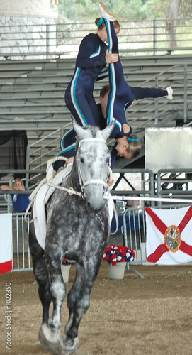 horse vaulter team performing