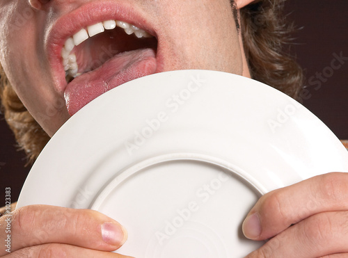 фотографія plate licking