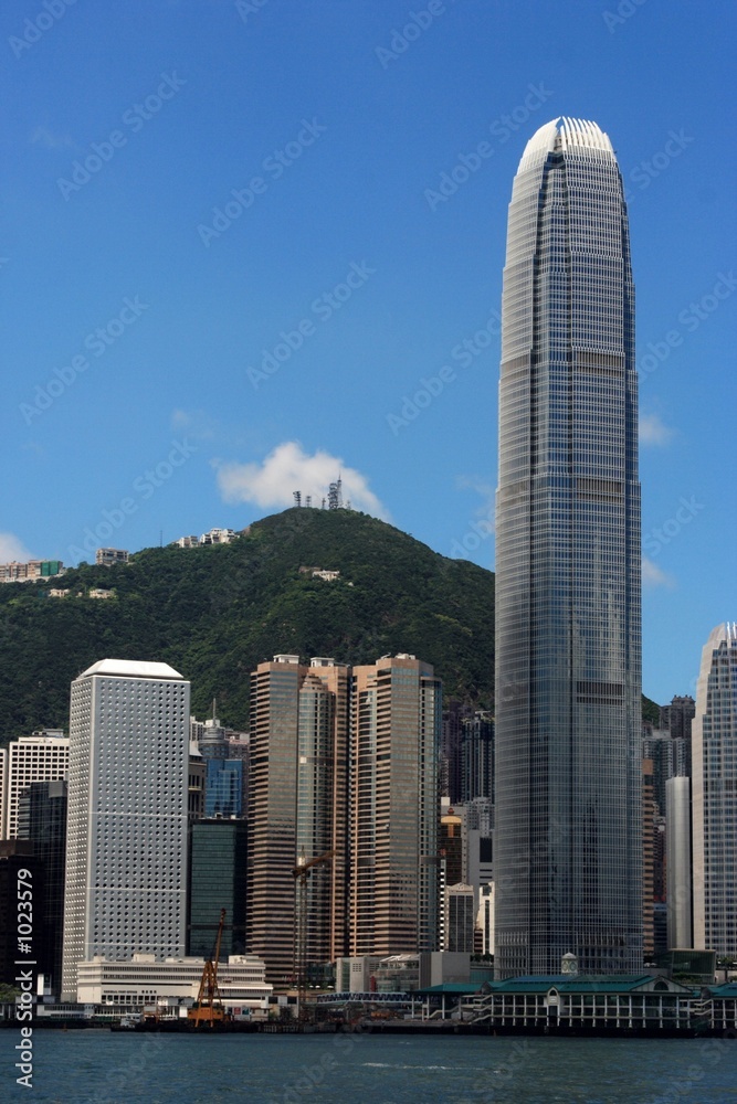 Fototapeta premium hong kong skyline