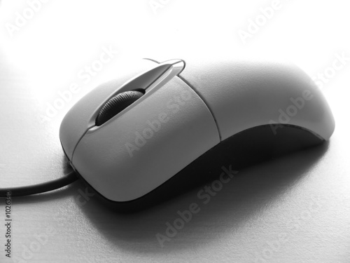 mouse