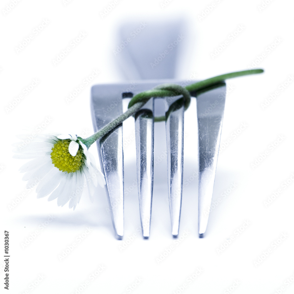 © Natalia Klenova - fork and flower © Natalia Klenova - fork and flower
