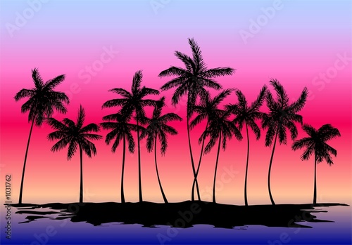 silhouette of palm trees on the sunset