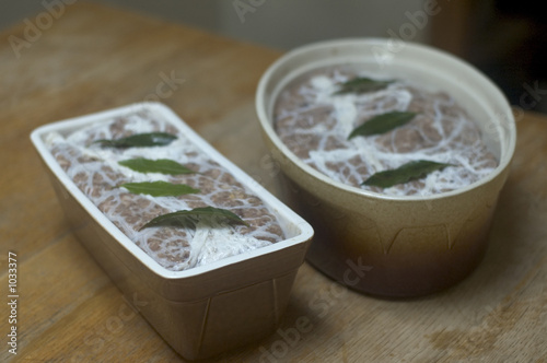 terrine