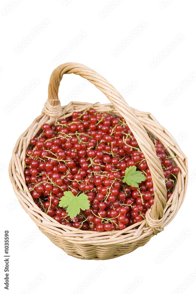 groseilles groseilles