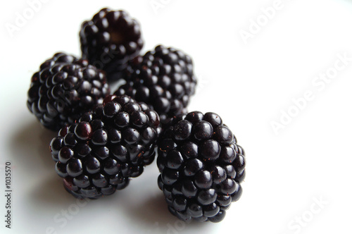 ein paar brombeeren