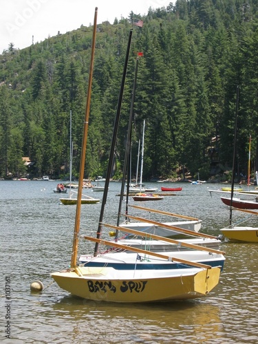 sail boats photo