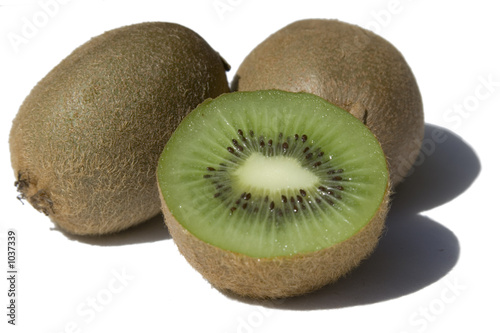 kiwi photo