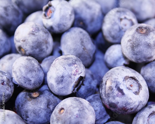 blueberries (macro)