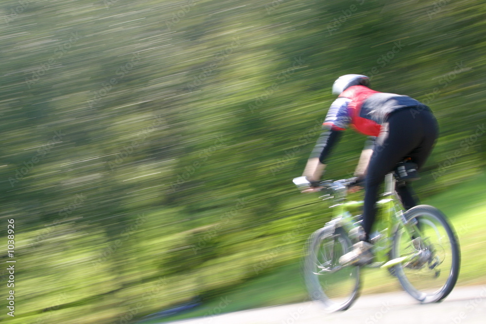 Fototapeta premium downhill