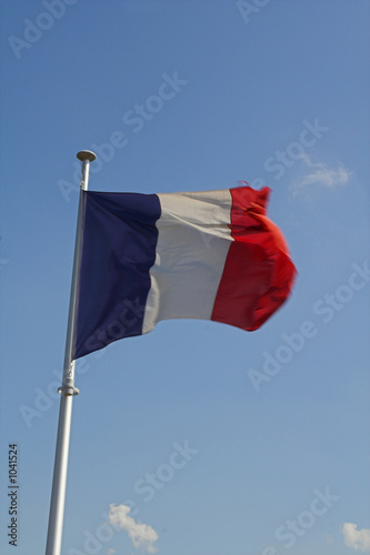 Canvas-taulu flag
