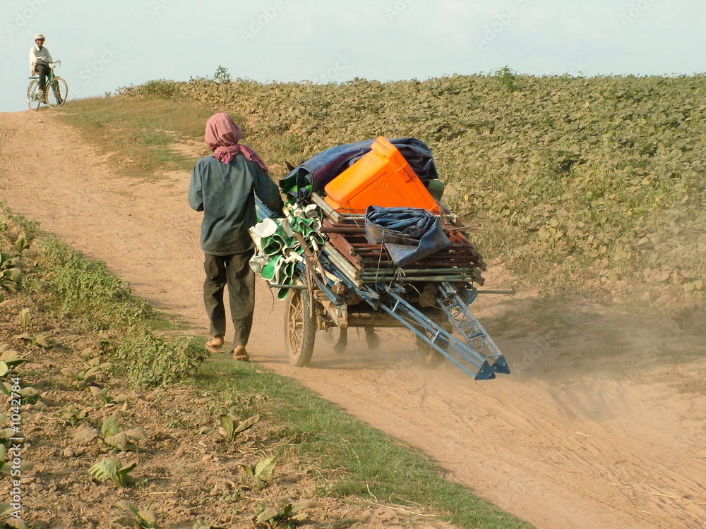 Obraz premium quotidien, cambodge