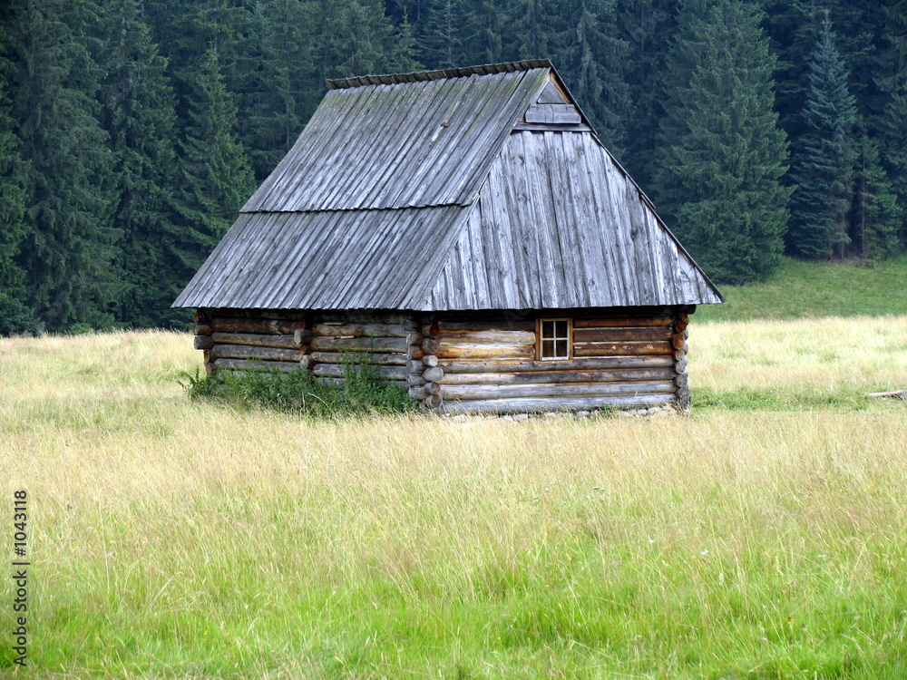 hut hut