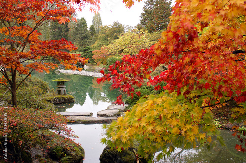 fall color at the garden