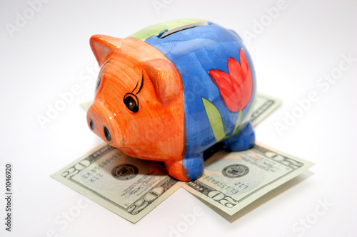 фотографія dollar and piggy