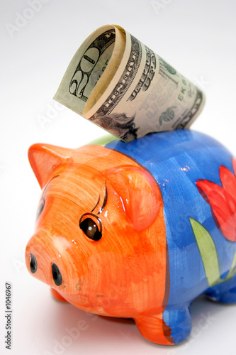 фотографія dollar and piggy