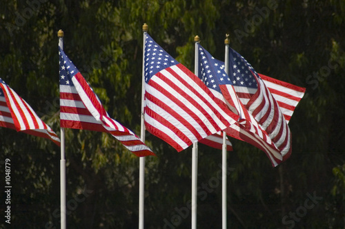 american flags