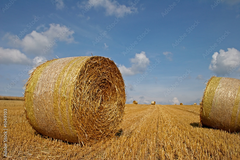 straw bales 1