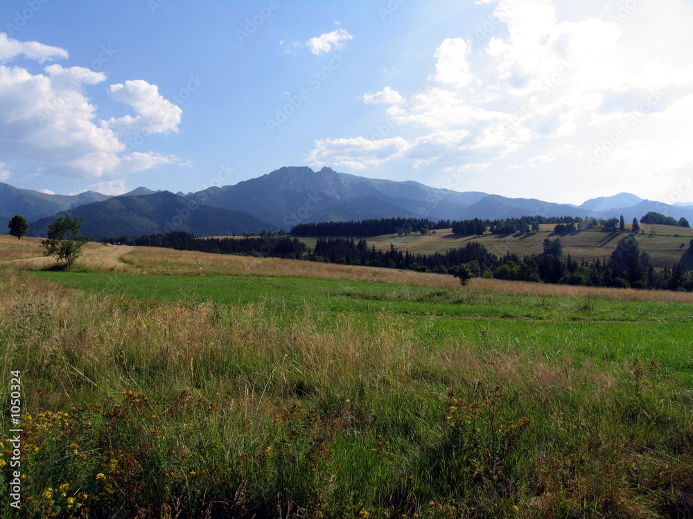 view view