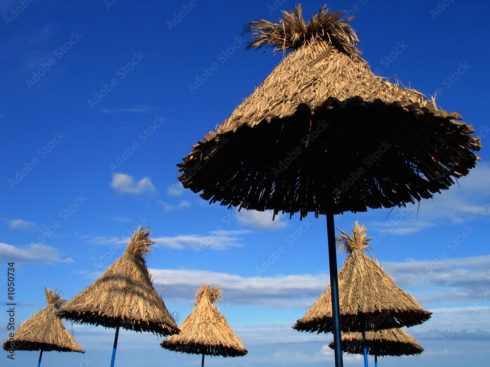 beach umbrella beach umbrella