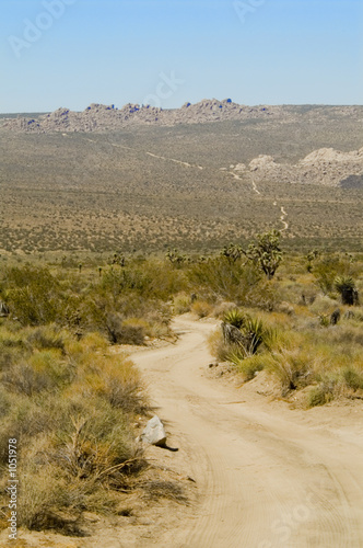 dirt road in joshua tree- vert