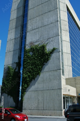 urban reflections