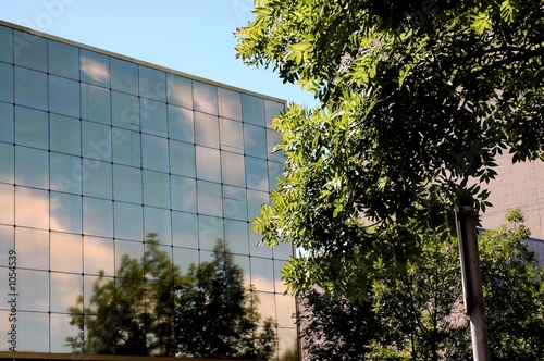 urban reflections